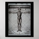 Search for vitruvian man posters Anatomy