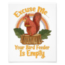 Search for funny squirrel posters Cartoon