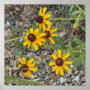 Search for eyed posters Floral