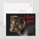 Search for terrier puppy postcards Missing you