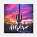 Search for southwestern magnets Cactus