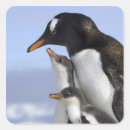 Search for south pole stickers Snow