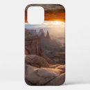 Search for mountain sunset cases Brown