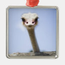 Search for stand up christmas tree decorations Wildlife