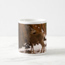 Search for mule mugs Wildlife