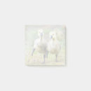 Search for goslings Cute baby animal