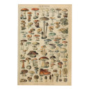 Search for mushroom wood wall art nature