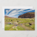 Search for altiplano postcards South america