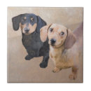 Search for dachshund tiles Black and tan