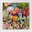 Search for succulent puzzles Echeveria