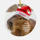 Search for capybara christmas tree decorations Santa