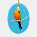 Search for conure christmas tree decorations Avian