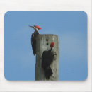 Search for woodpecker mouse mats Animals