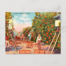 Search for pick postcards Travel