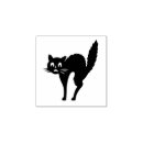 Search for scared cat Scary