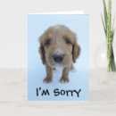 Search for golden doodle puppies cards Puppy