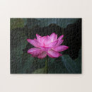 Search for lotus flower puzzles Plant