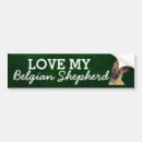 Search for belgian bumper stickers Pets