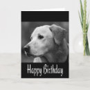 Search for black labrador puppy birthday cards Puppies