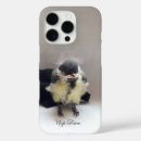 Search for cute chick electronics Bird