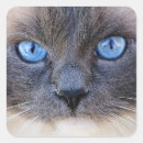 Search for blue cat stickers Portrait