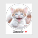 Search for photo macbook sleeves Cat
