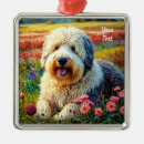 Search for old english sheepdog christmas tree decorations Dogs