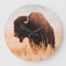 Search for american bison art Calf