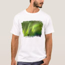 Search for aurora tshirts Landscape