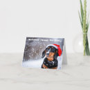 Search for sausage dog christmas cards Merry