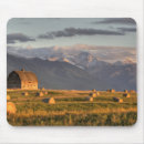 Search for dramatic mouse mats Usa