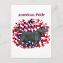 Search for black labrador postcards Retriever