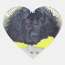 Search for kids library stickers School