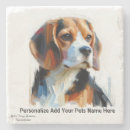 Search for beagle coasters Pets