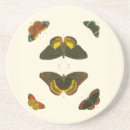 Search for bright coasters White