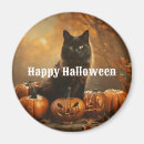 Search for black cat magnets Witches