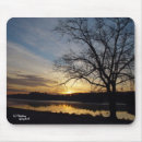 Search for reflections electronics Sunset