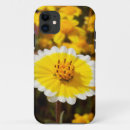 Search for badland iphone cases Anza borrego