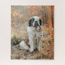 Search for st bernard puzzles Animals