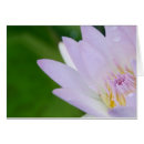 Search for raindrop photography Nature