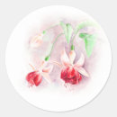 Search for fuchsia flower stickers Watercolor