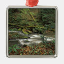 Search for fork christmas tree decorations Landscape