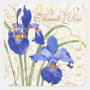 Search for damask seals envelope seals Thank you