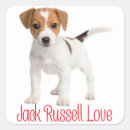 Search for jack russell terrier puppy stickers Dogs