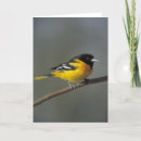 Search for oriole cards Animal