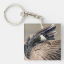 Search for goose key rings Nature
