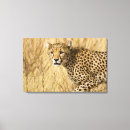 Search for kenya canvas prints Wildlife