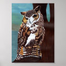 Search for brown owl posters Wildlife