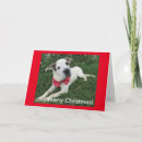 Search for rescue christmas cards Pets