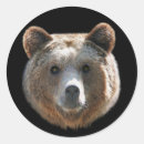 Search for grizzlies stickers Brown